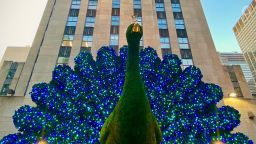Giant Peacock topiary 30 Rockefeller NBC 