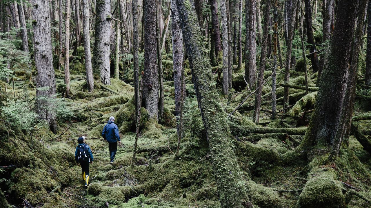 02 Haida Gwaii