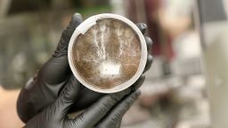A researcher holding a petri dish containing mycelia -- the underground threads that make up the main part of a fungus -- growing in simulated martian soil, also known as martian regolith.
