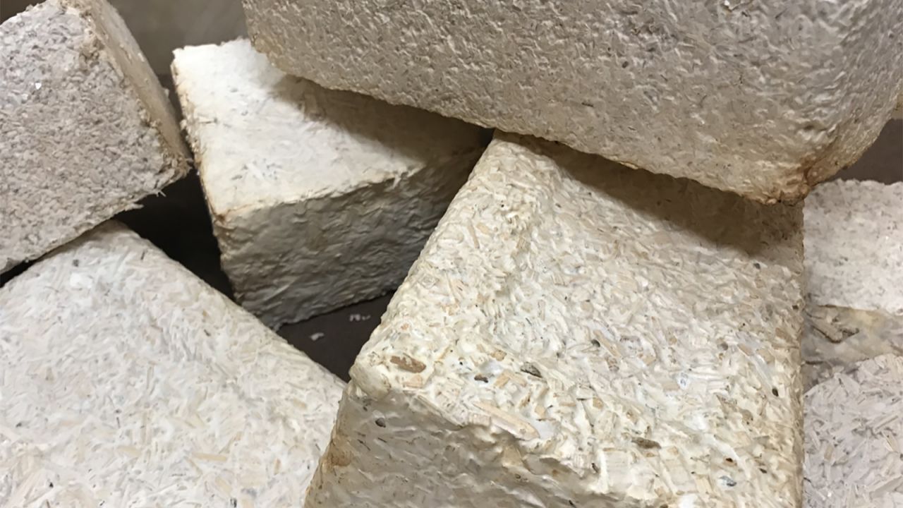 Bricks produced using mycelium, yard waste and wood chips.