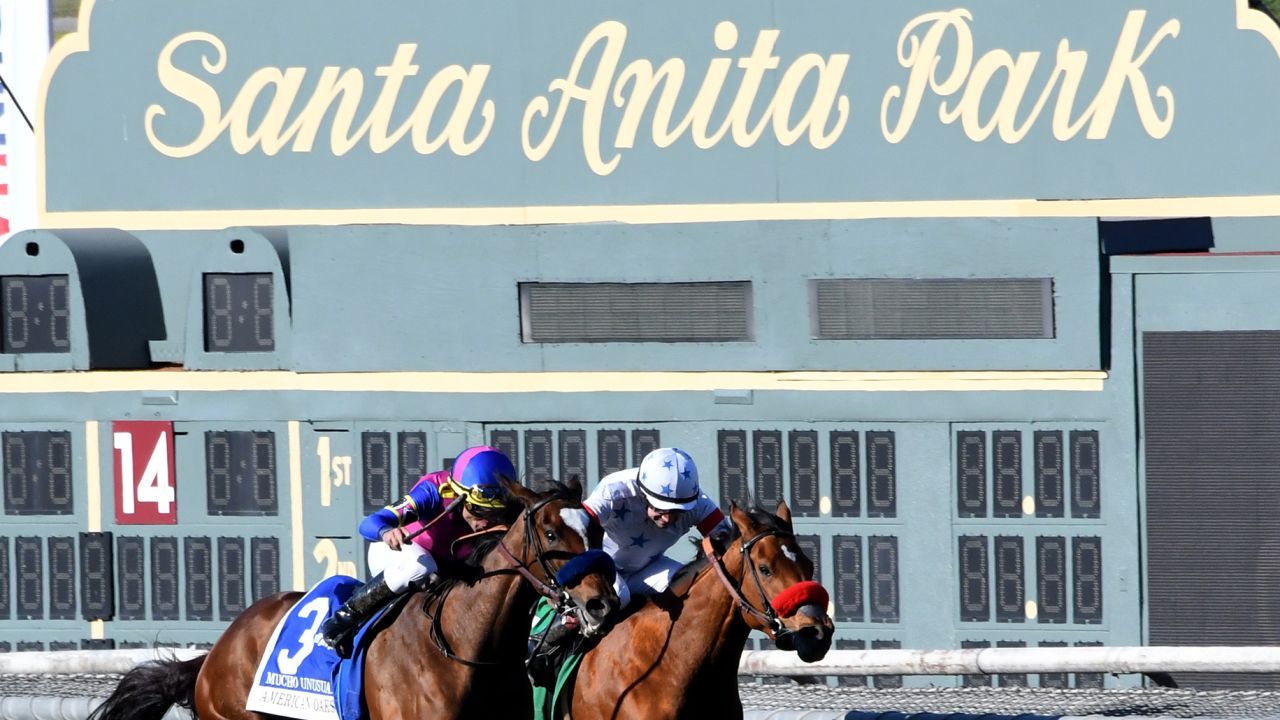 Four horses have died already this year -- three in the past three days -- at Santa Anita Park.