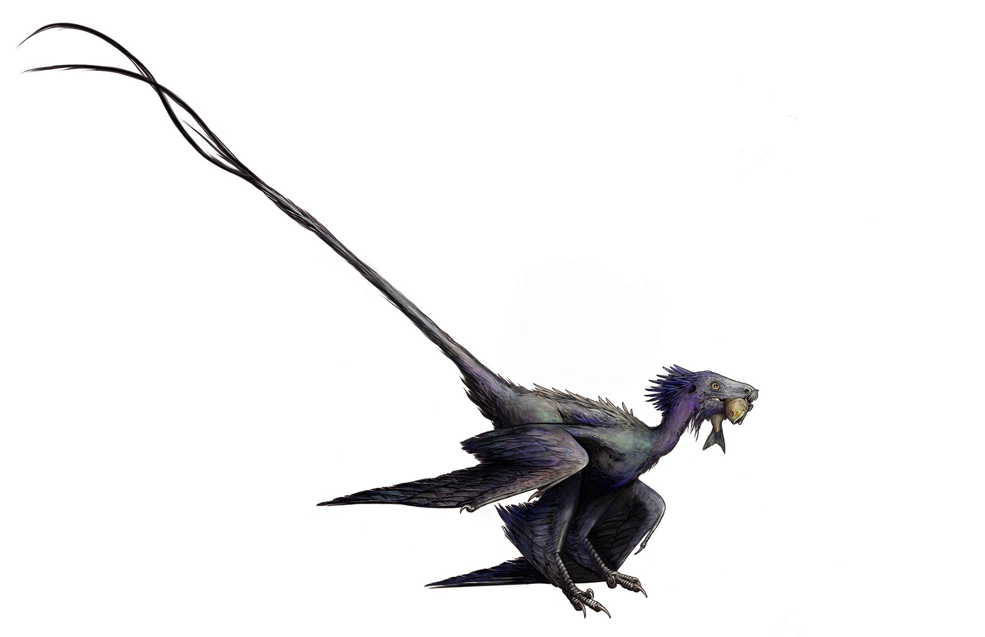Chinese pterodactyl wings its way to the United Kingdom
