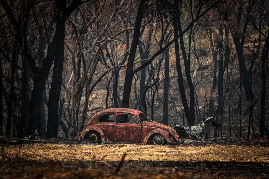 Bushfires have destroyed huge areas of Australia in recent months.
