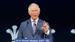 Britain's Prince Charles addresses the World Economic Forum in Davos, Switzerland, Wednesday, Jan. 22, 2020. The 50th annual meeting of the forum is taking place in Davos from Jan. 21 until Jan. 24, 2020. (AP Photo/Markus Schreiber)