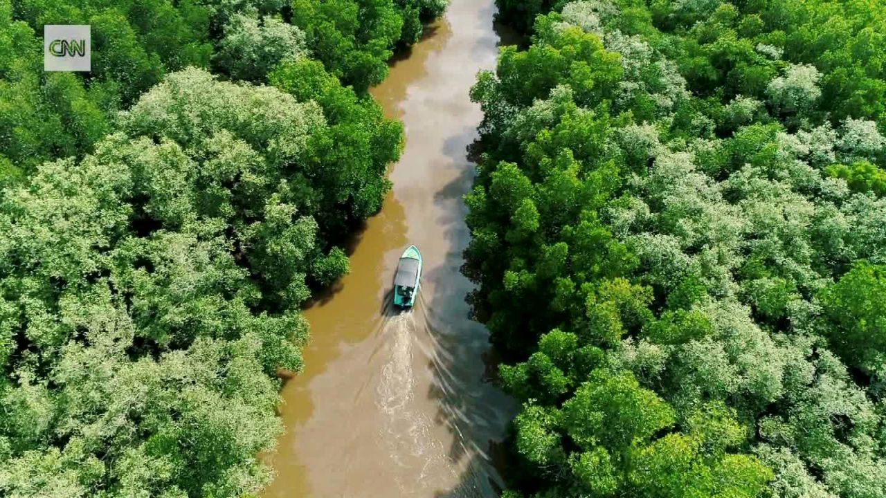 sri lanka mangroves intl C2E_00014430.jpg