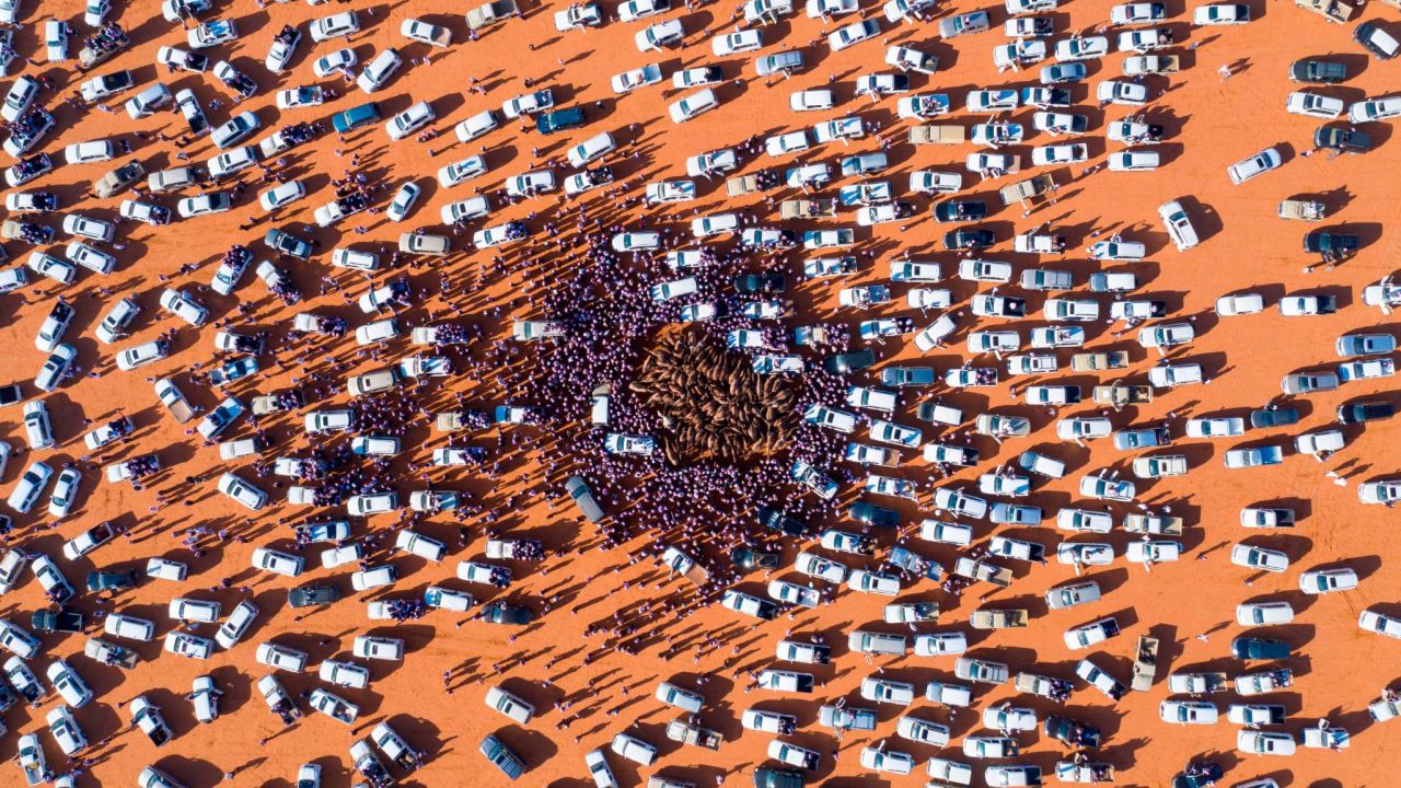 <strong>Rumah, Saudi Arabia: </strong>A sea of cars and people encircle camels at the King Abdulaziz Camel Festival in January. The month-long festival features races as well as a camel pageant section with $31.8 million in prize money.