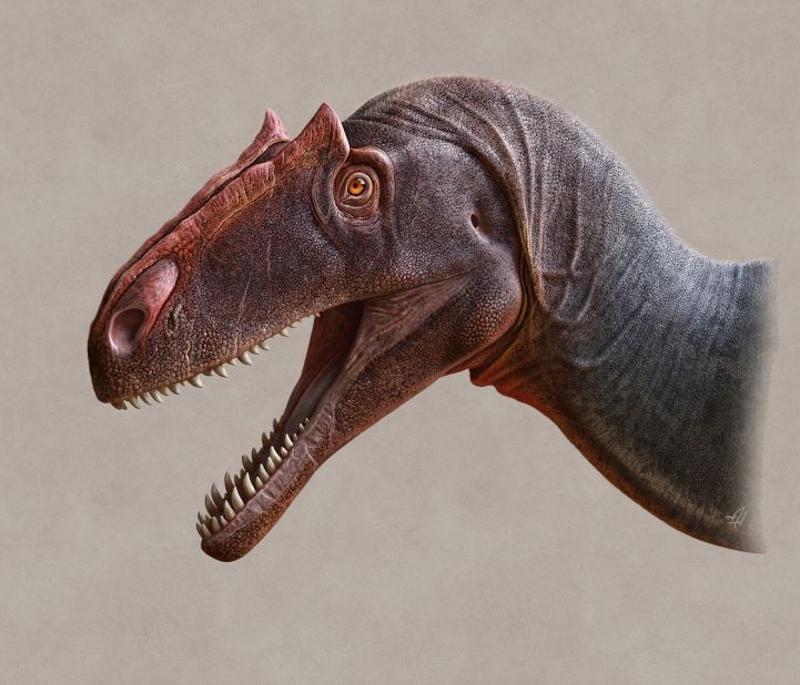 The newly discovered species Allosaurus jimmadseni represents the earliest Allosaurus known. It was a fearsome predator that lived during the Late Jurassic Period millions of years before Tyrannosaurus rex.