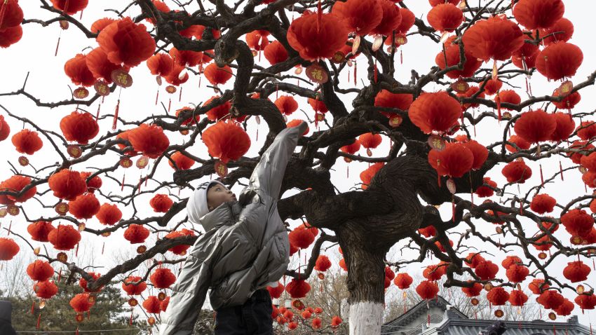 Un enfant saute pour toucher des lanternes accrochées à un arbre avant les célébrations du Nouvel An lunaire chinois à Pékin le jeudi 16 janvier 2020. La plus grande migration annuelle au monde commence cette semaine en Chine avec des millions de Chinois qui se rendent dans leur ville natale pour célébrer le Nouvel An lunaire le 25 janvier de cette année qui marque l'année du rat dans le zodiaque chinois. (AP Photo/Ng Han Guan)
