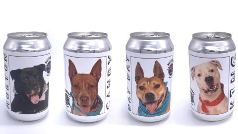 01 Florida brewery beer cans rescue dogs