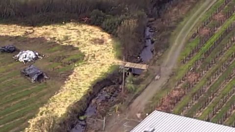 97,112 gallons of wine have spilled into a creek in Sonoma County, California on Wednesday.