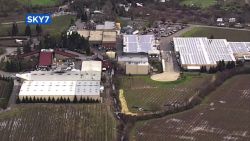 97,112 gallons of wine have spilled into a creek in Sonoma County, California on Wednesday when a blending tank door popped out from Rodney Strong Vineyards, according to a report from the Governor's Office of Emergency Services.