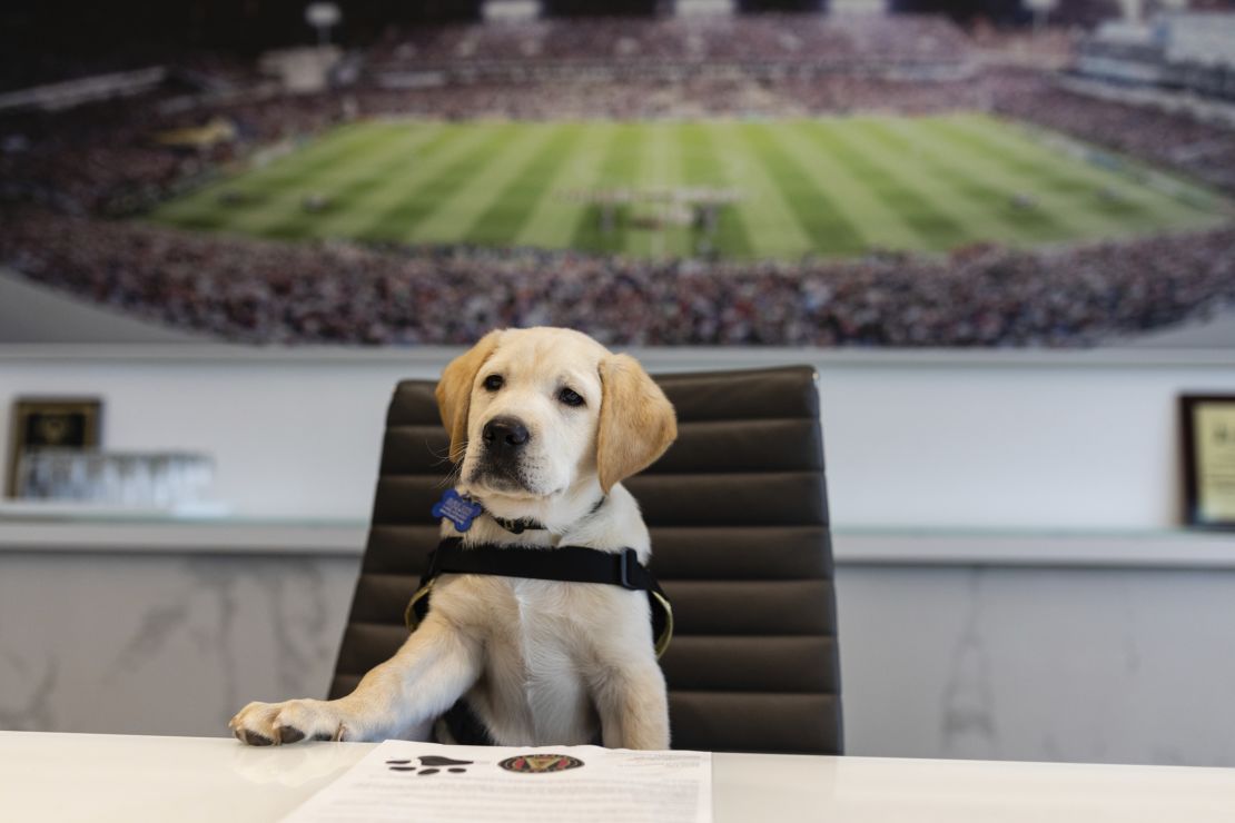 Spike, the future service dog, "signs" his contract with MLS team Atlanta United. 