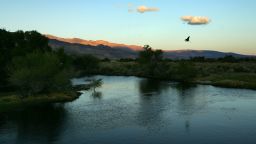 LONE PINE, CA - MAY 05:  A great blue heron flies at dusk over the lower Owens River before it empties into Owens Lake on May 5, 2007 near Lone Pine, California. The Los Angeles Department of Water and Power (LADWP) is trying to reverse the desertification of the lake that was dried up with the construction of the Los Angeles Aqueduct in 1913 to divert the Owens River for growing Los Angeles urban areas. Owens Lake, previously a 100-square-mile body of fresh water east of the Sierra Nevada mountain range, became a salty pan with dust blown by the wind to create the single largest stationary source of pollution in US. Dust from the dry lake, or playa, create a health hazard over a large area by dust plumes that have been tracked by satellite to distances of 150 miles to the south and are believed to contribute to particulates blowing over the Grand Canyon in Arizona. The LADWP has increased the amount of water allowed to flow in the lower Owens River, which was nearly dry for decades, and has created large ponds of inches-deep water to decrease the amount of dust blowing off the playa. (Photo by David McNew/Getty Images)