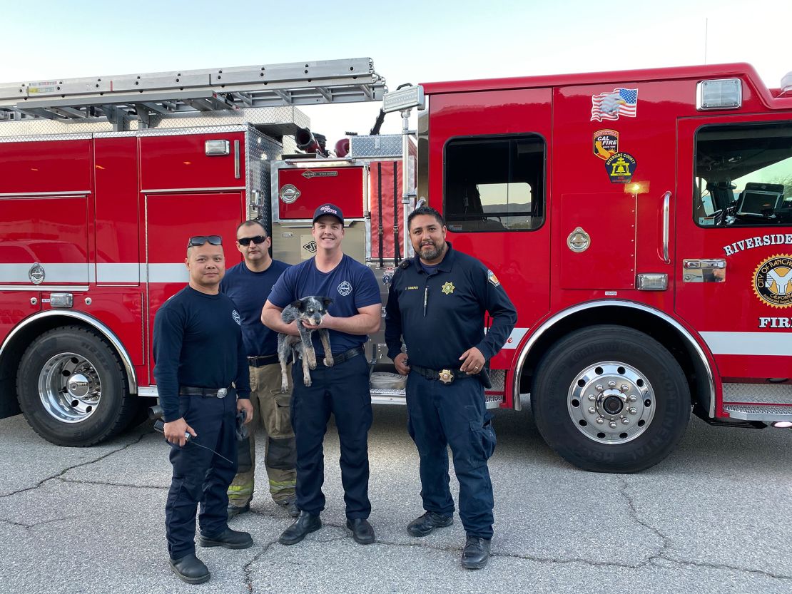 Lana, the 3-month-old Australian cattle dog with her rescuers from the Riverside Fire Department. 