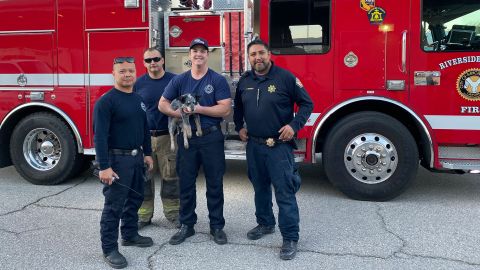Lana, the 3-month-old Australian cattle dog with her rescuers from the Riverside Fire Department.
