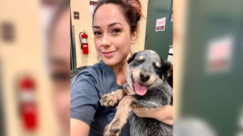 Lana, the 3-month-old Australian cattle dog, after she was rescued. 