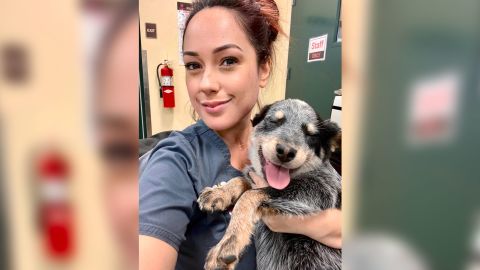 Lana, the 3-month-old Australian cattle dog, after she was rescued.