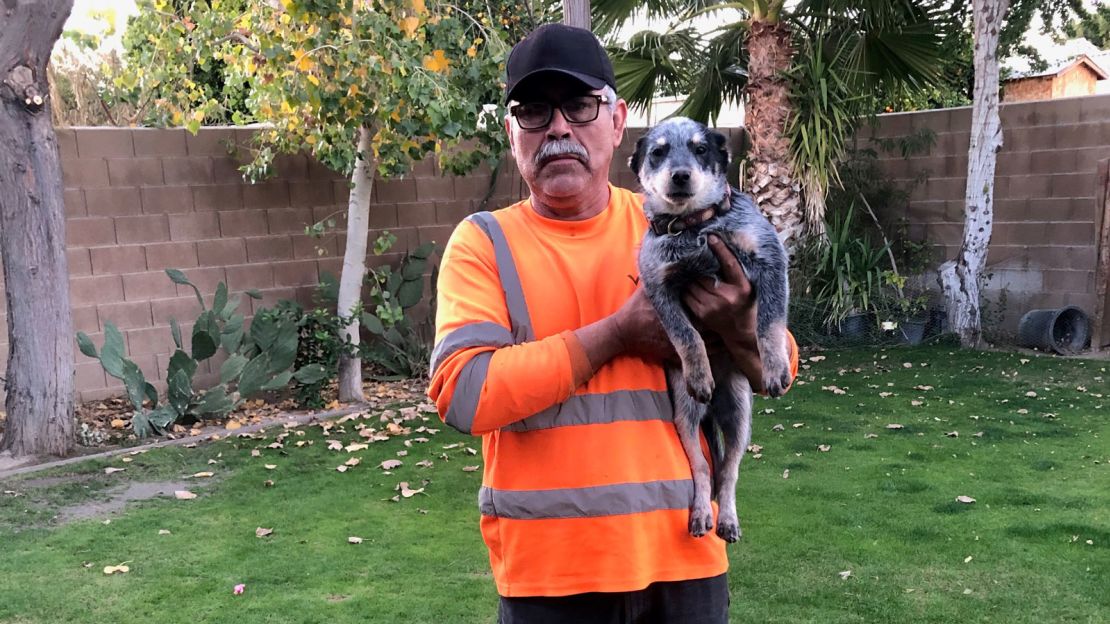 Lana, the 3-month-old  Australian cattle dog with her owner Martin Godinez. 