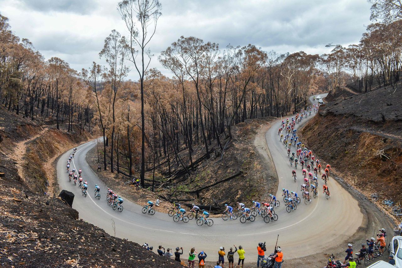 Cyclists ride through Cudlee Creek following damage from the Australia bushfires during the Tour Down Under UCI World Tour in Adelaide Hills on Thursday, January 23. 