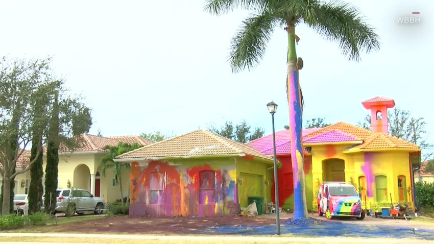 Man spatter-paints home