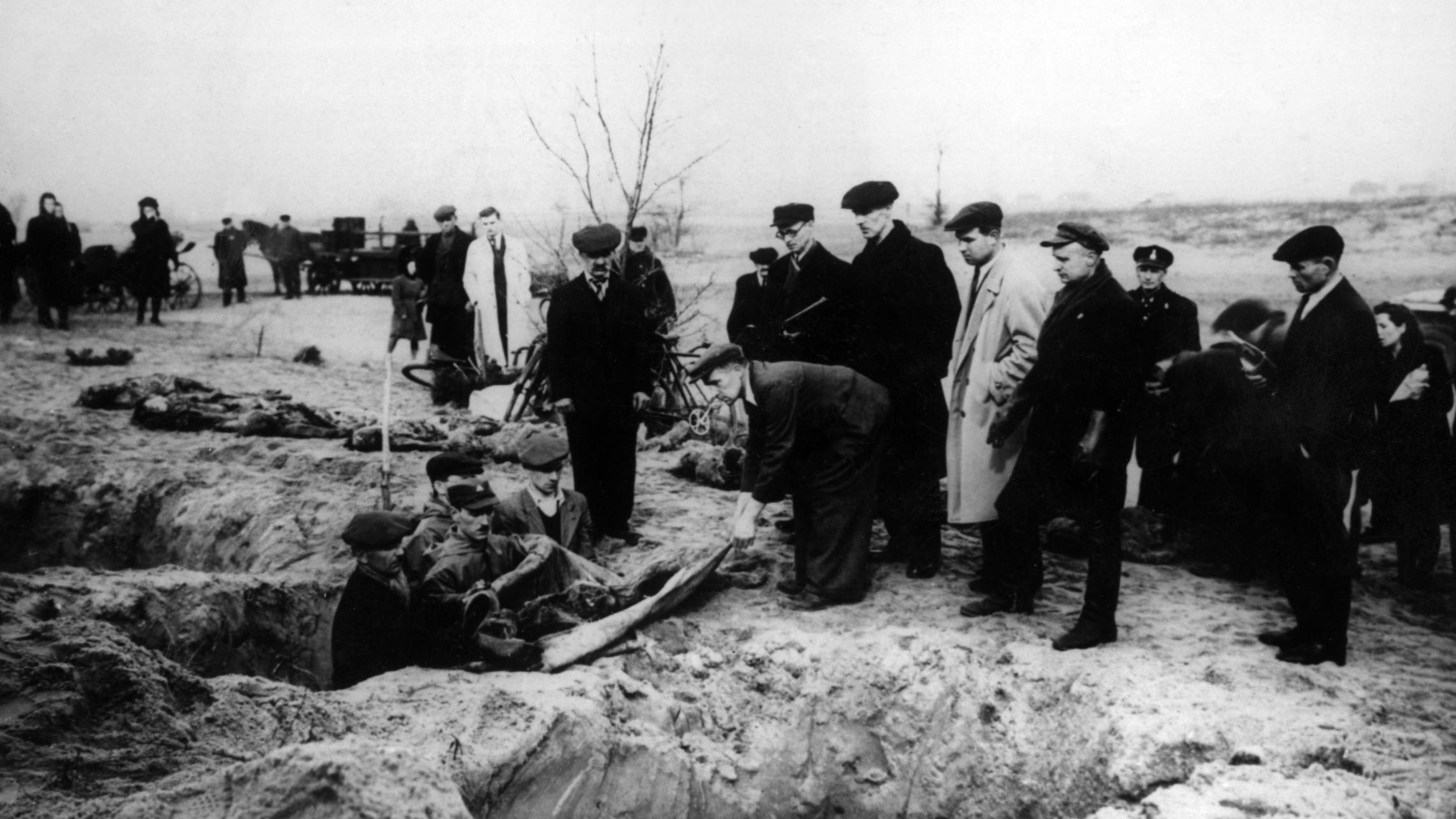The liberation of Auschwitz CNN