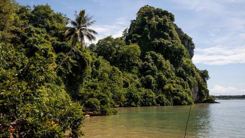 Koh Libong: A haven for Thailand's threatened dugong population | CNN