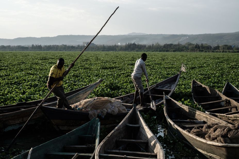 Fishermen on Lake Victoria, western Kenya. In this picture, the lake is covered by water hyacinth. This invasive species makes life harder for local fishermen.