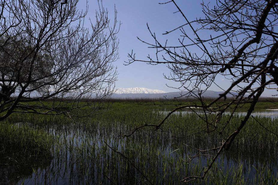 Pictured, Mount Hermon as seen from the Ammiq wetlands in Lebanon. This UNESCO Biosphere reserve is the country's most important wetland. They have been designated an Important Bird Area by conservation group BirdLife International.