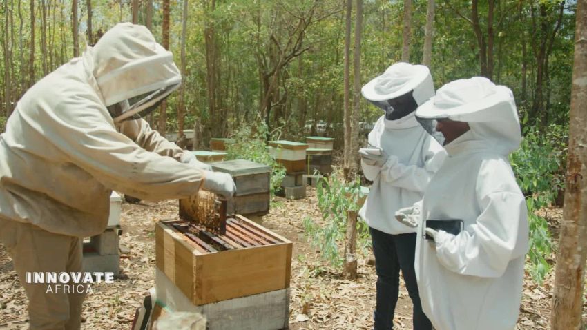 innovate africa smart bee hive_00005813.jpg