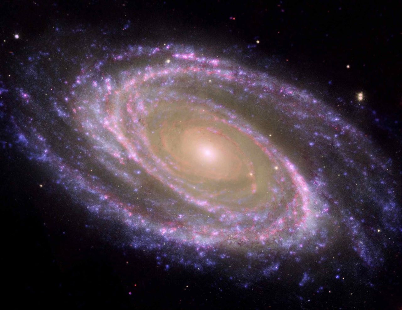 The dreamy spiral galaxy M81 is presented in crisp detail thanks to a collaboration between Spitzer, Hubble and NASA's Galaxy Evolution Explorer. 