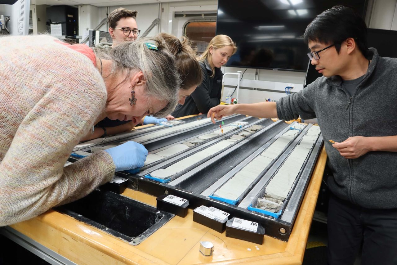 Cut cores undergoing examination during Expedition 378.