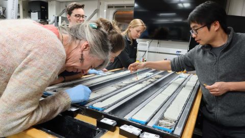 Cut cores undergoing examination during the recent IODP Expedition 378.