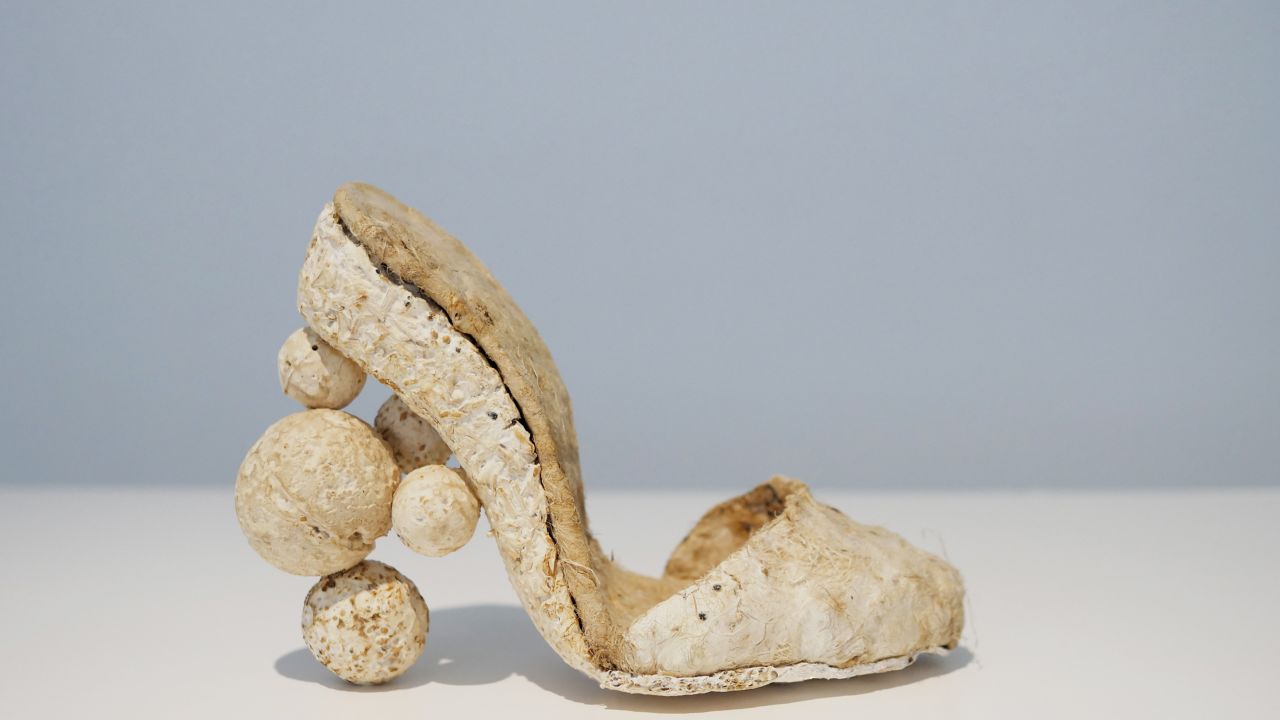 Kristel Peters, 'Mycoschoen', a shoe grown from from fungus