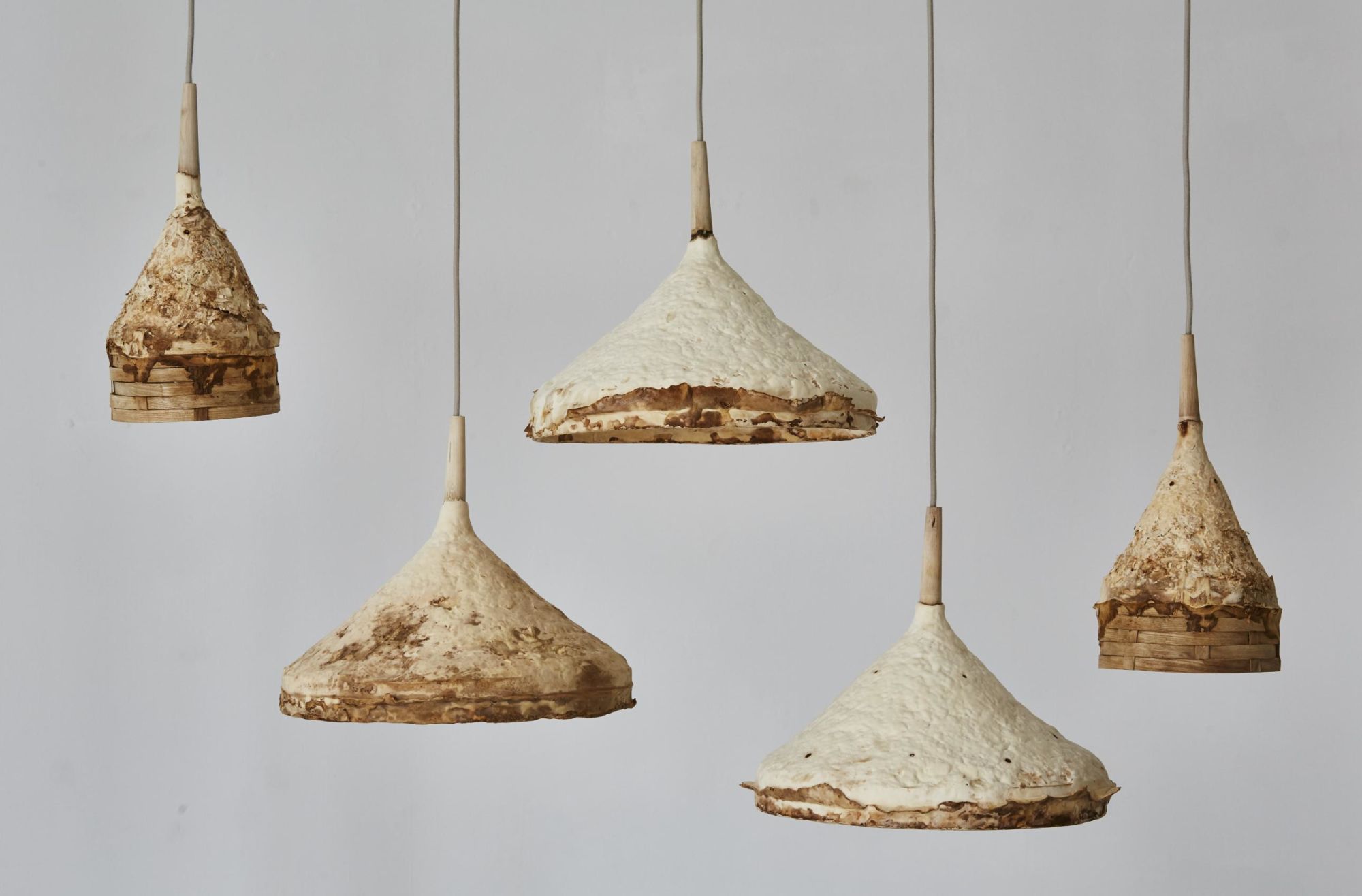 mushrooms exhibition art design lamp