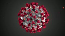 An illustration of the coronavirus released by the CDC.