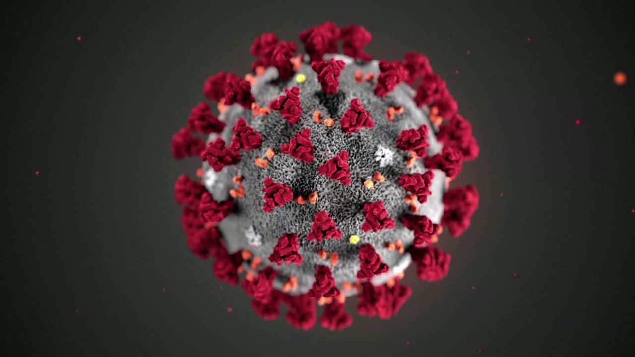 Corona virus CDC image