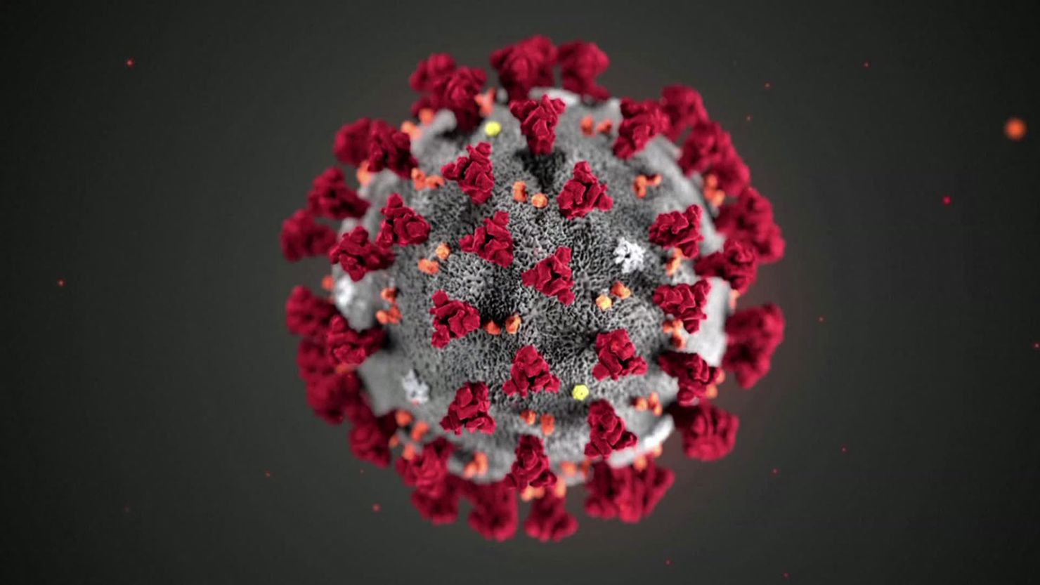 CDC releases illustration of the Coronavirus.