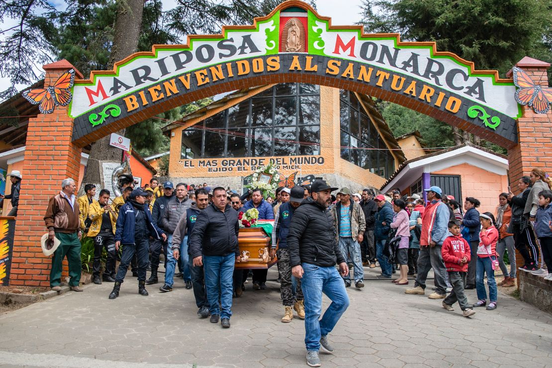 People carry the coffin with the remains of Mexican environmentalist Homero Gomez, during his funeral procession in El Rosario village.