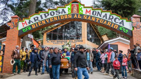 People carry the coffin with the remains of Mexican environmentalist Homero Gomez, during his funeral procession in El Rosario village.