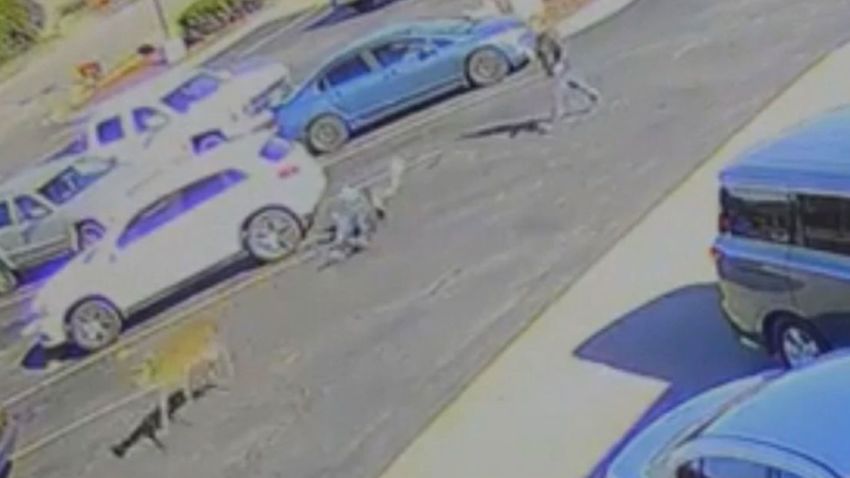 Surveillance video shows the moment a deer came out of nowhere and plowed over a man in the parking lot of a local McDonald's.