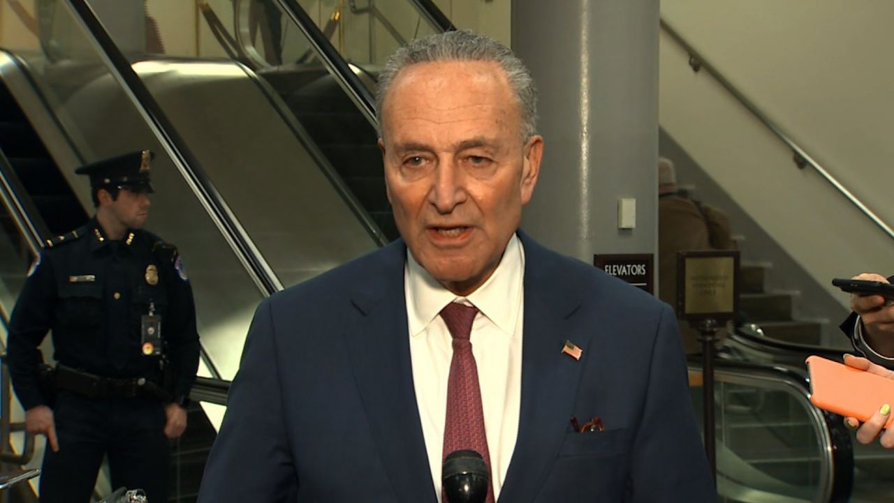 schumer witness vote