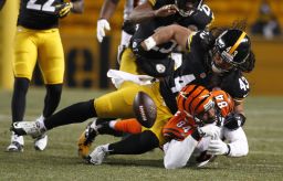 Safety Troy Polamalu strips the ball from Bengals tight end Jermaine Gresham on December 15, 2013.