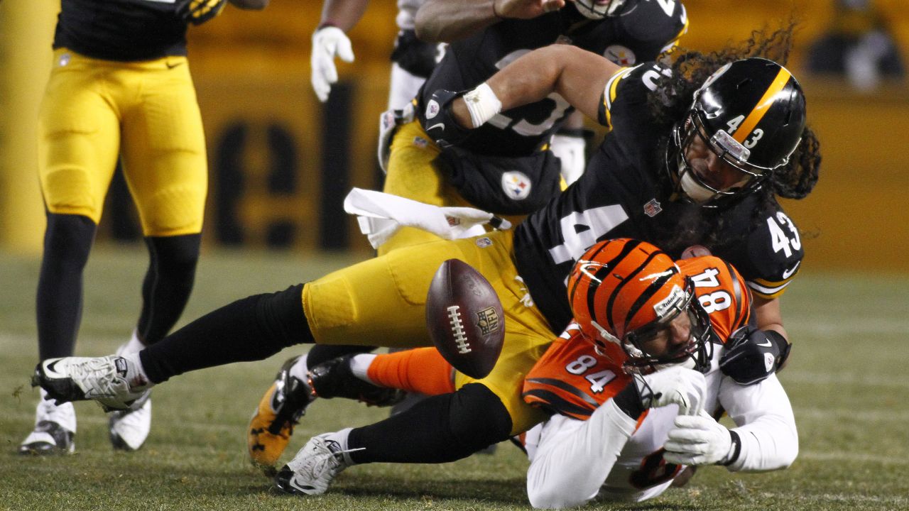 Safety Troy Polamalu strips the ball from Bengals tight end Jermaine Gresham on December 15, 2013.