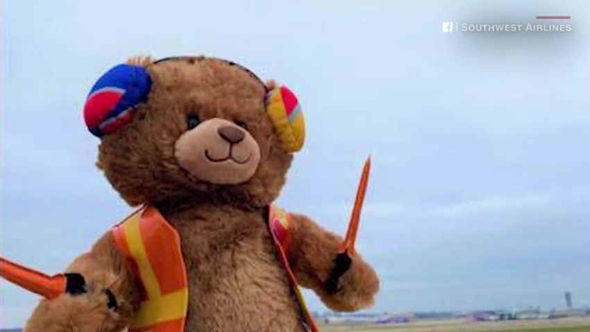 Southwest Airlines replaces bear