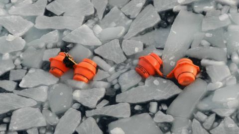 These measuring instruments study ocean temperatures and are strung together on rope and fixed to the ocean floor.