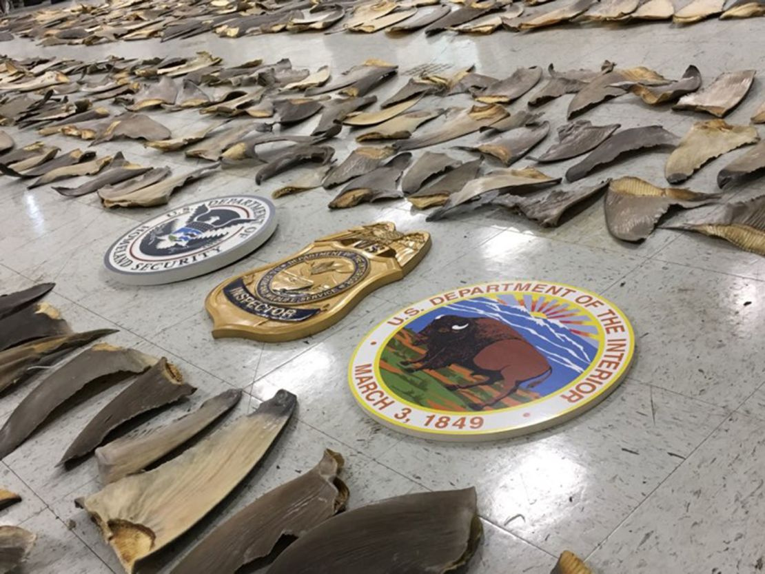 18 boxes of shark fins were seized in Miami port on February 3. 