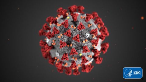 This illustration from the CDC shows the microscopic structure of coronaviruses.