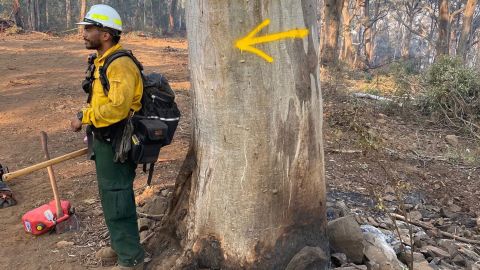 Capt. Leonard Dimaculangan was battling blazes near the Buffalo Mountain National Park in Victoria.