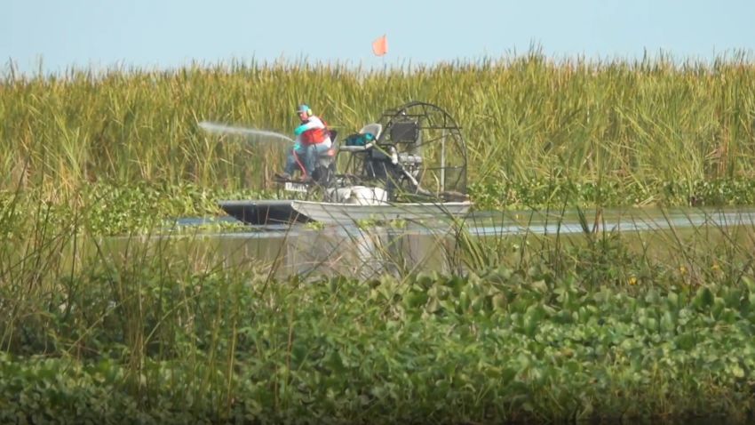 Herbicide is sprayed from an air boat on Lake Okeechobee, Florida.