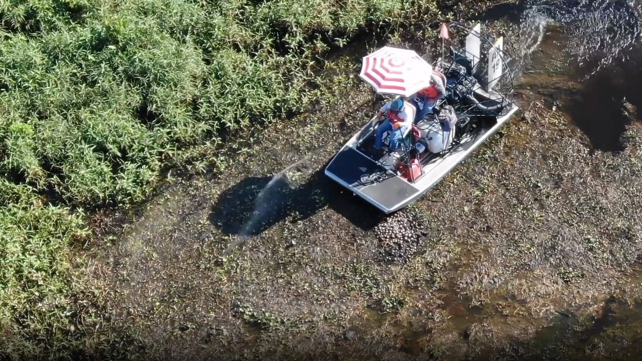 Mike Knepper uses a drone and camera to track spraying on Florida's lakes.